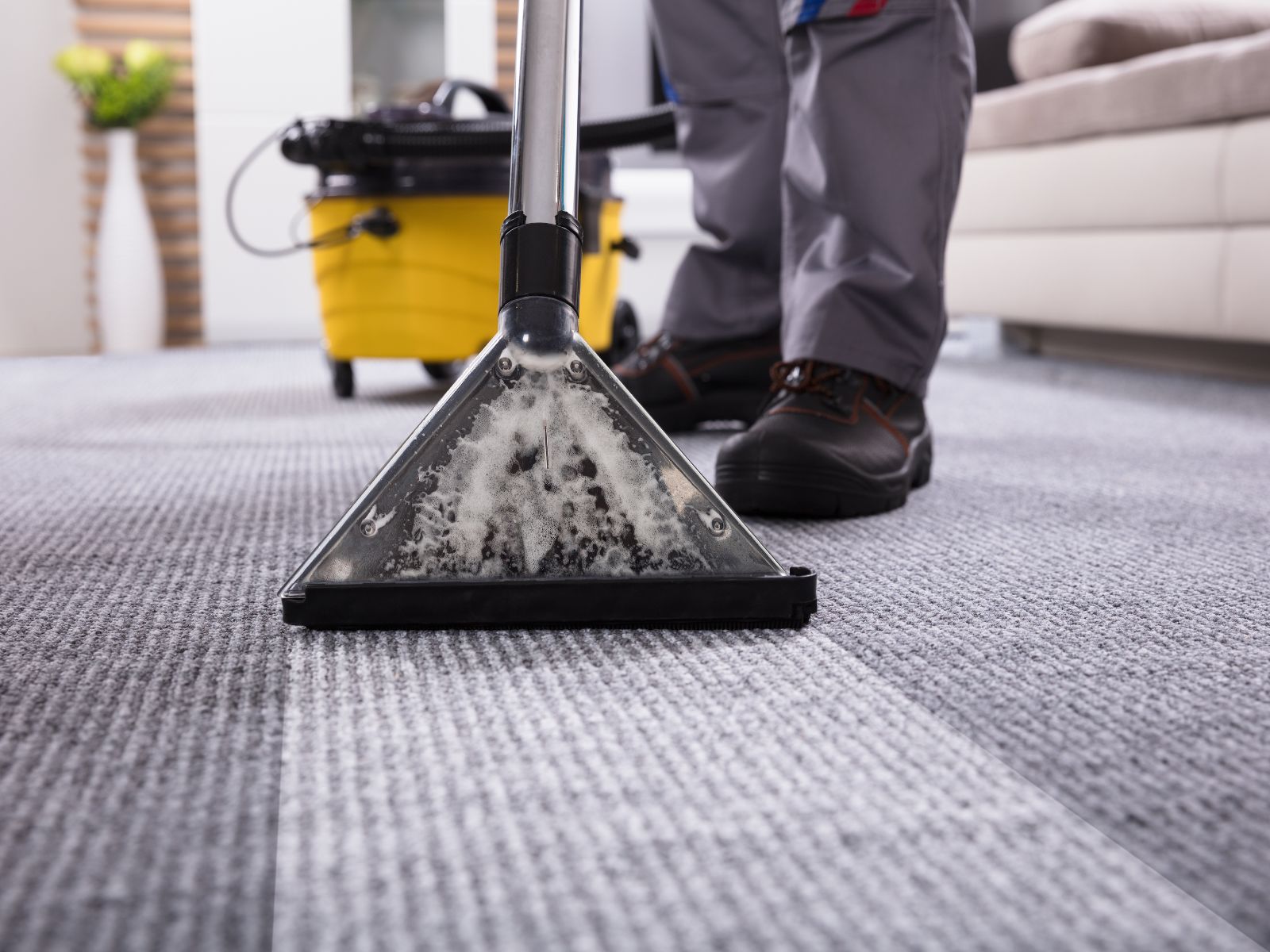Reliable Cleaning Solutions for Louisville Homes